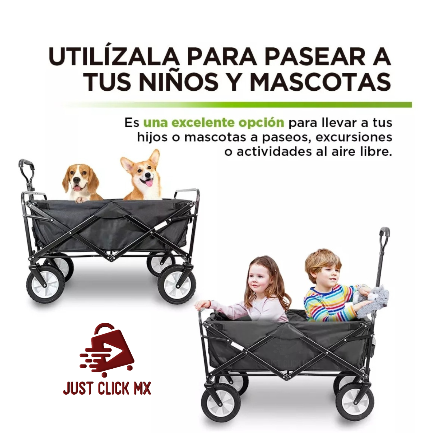 Carrito Plegable Ultra Resistente Grande 80KG