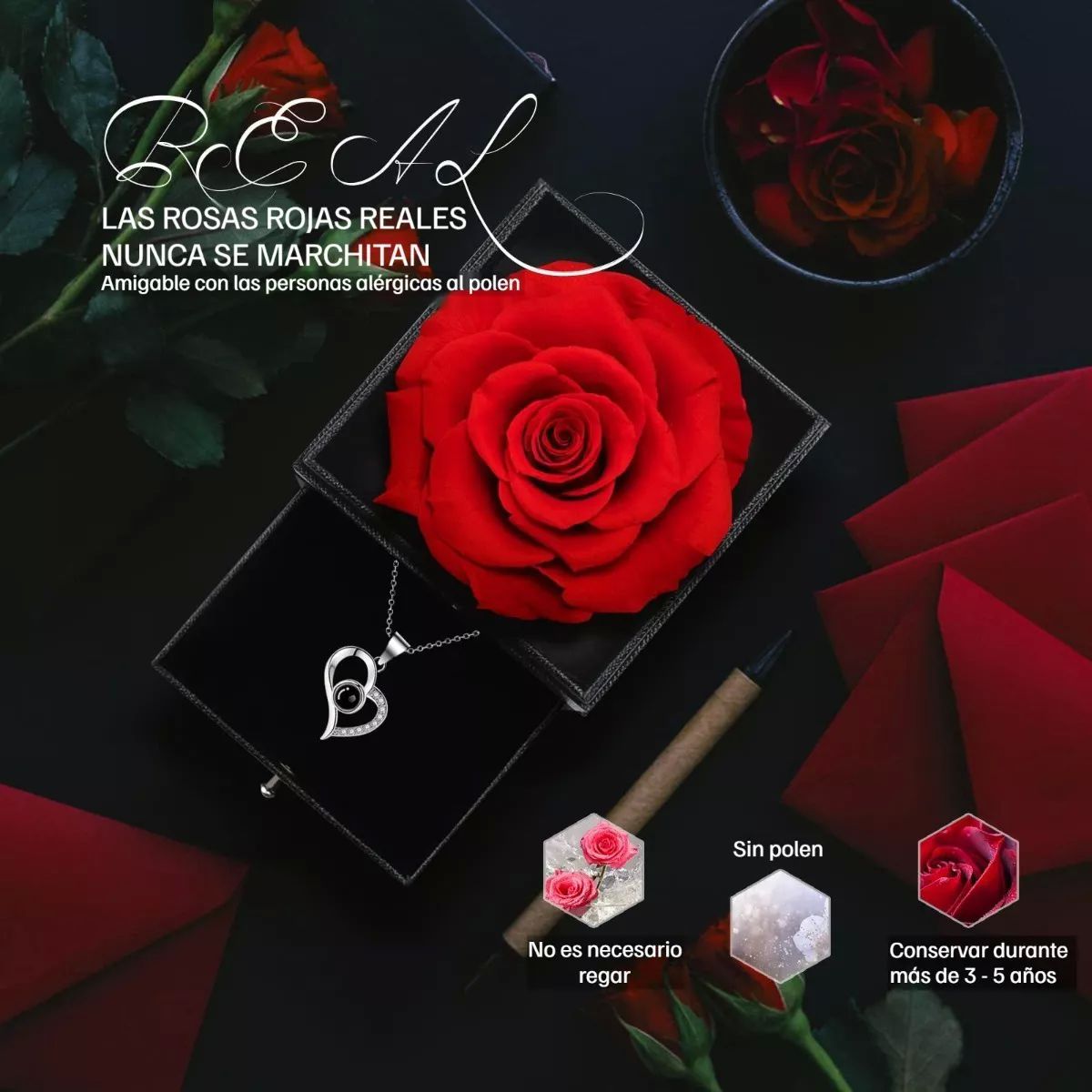 Caja de Rosas Eternas Reales Hechas a Mano, con Collar de Regalo en 100  Idiomas, Regalos de Rosas para Mujer para el Día de San Valentín, Día de la  Madre, Aniversario (Rojo) (