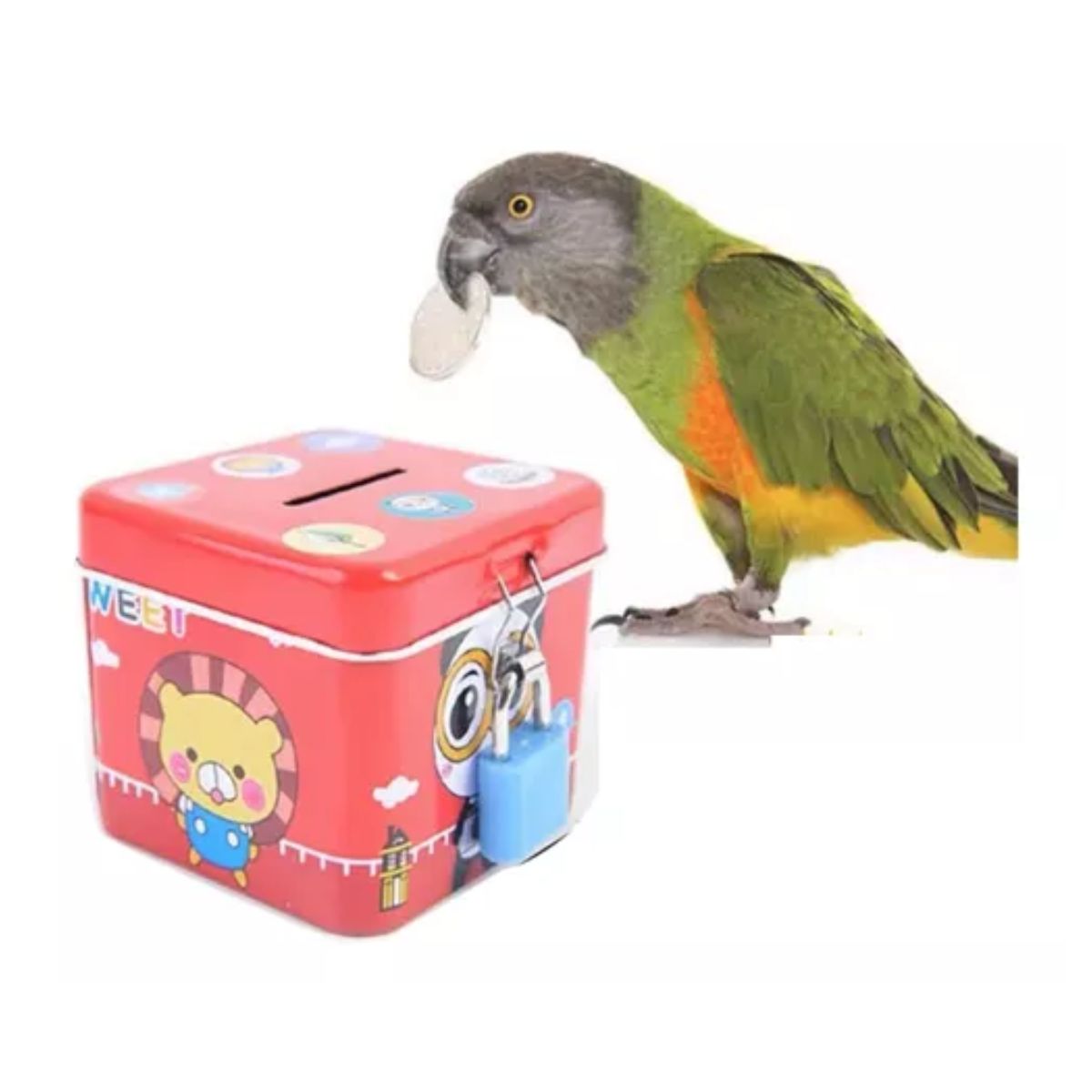 Juguete Para Aves Educativo Loro De Entrenamiento,7pcs 