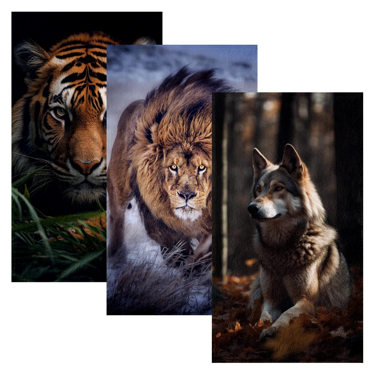Set 3 Toallas De Baño Diseño Lobo Tigre y Leon Microfibra de Poliéster Suave Absorbente Secado Rápido Multiuso.