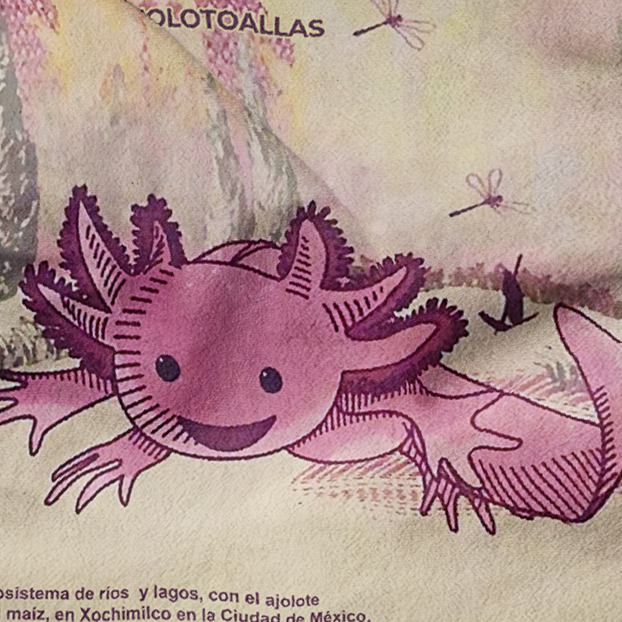 Toalla De Baño Diseño Billete 50 Pesos Ajolote Microfibra de Poliéster Suave Absorbente Secado Rápido Multiuso