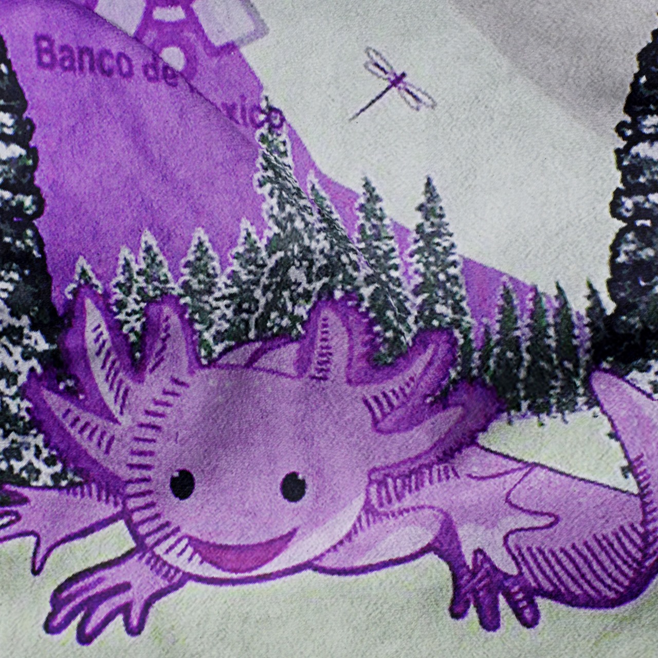 Toalla De Baño Diseño Ajolote Color Billete Microfibra de Poliéster Suave Absorbente Secado Rápido Multiuso