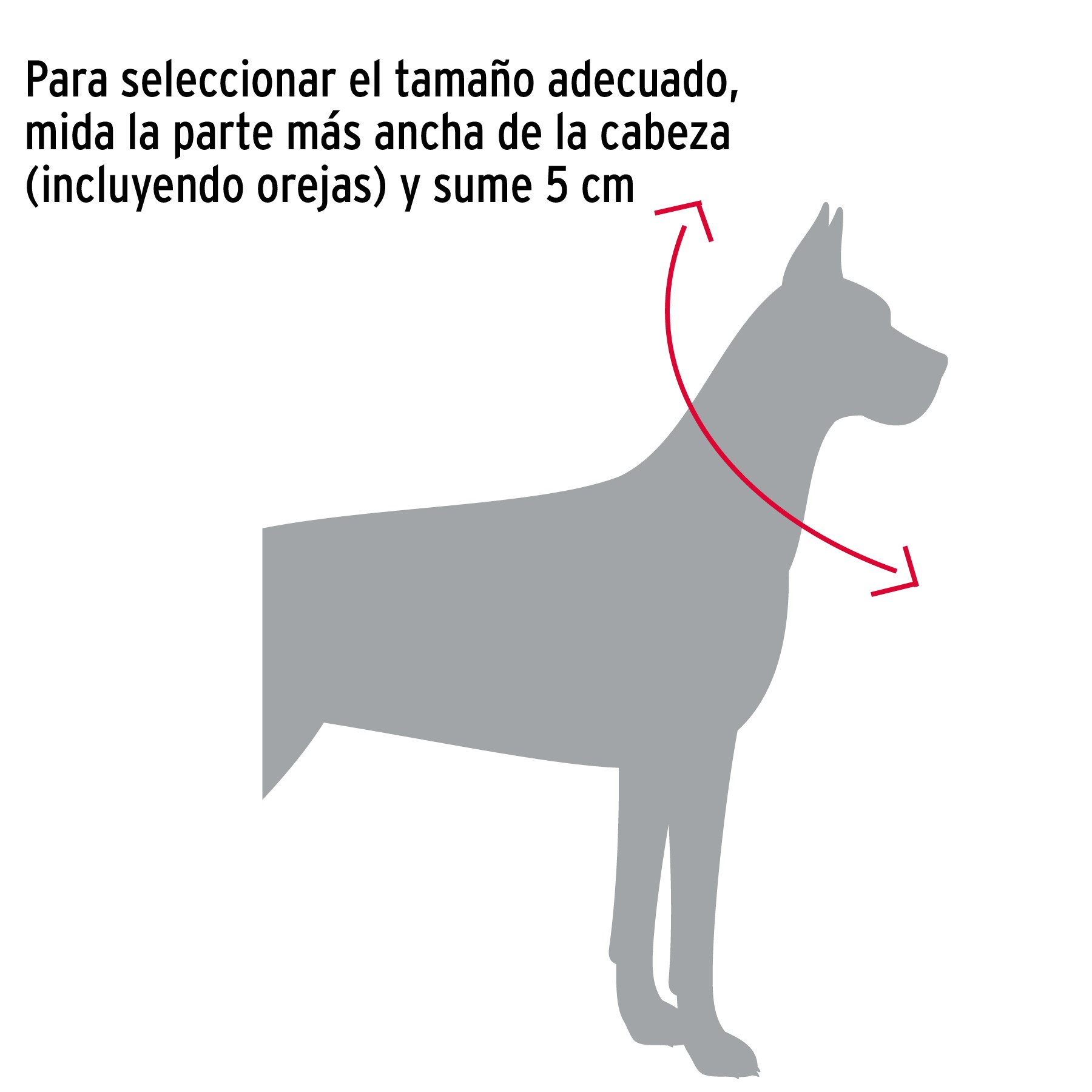 COLLAR DE ENTRENAMIENTO PARA PERRO, 60 CM, ESLABÓN DE 4 MM FIERO 44293