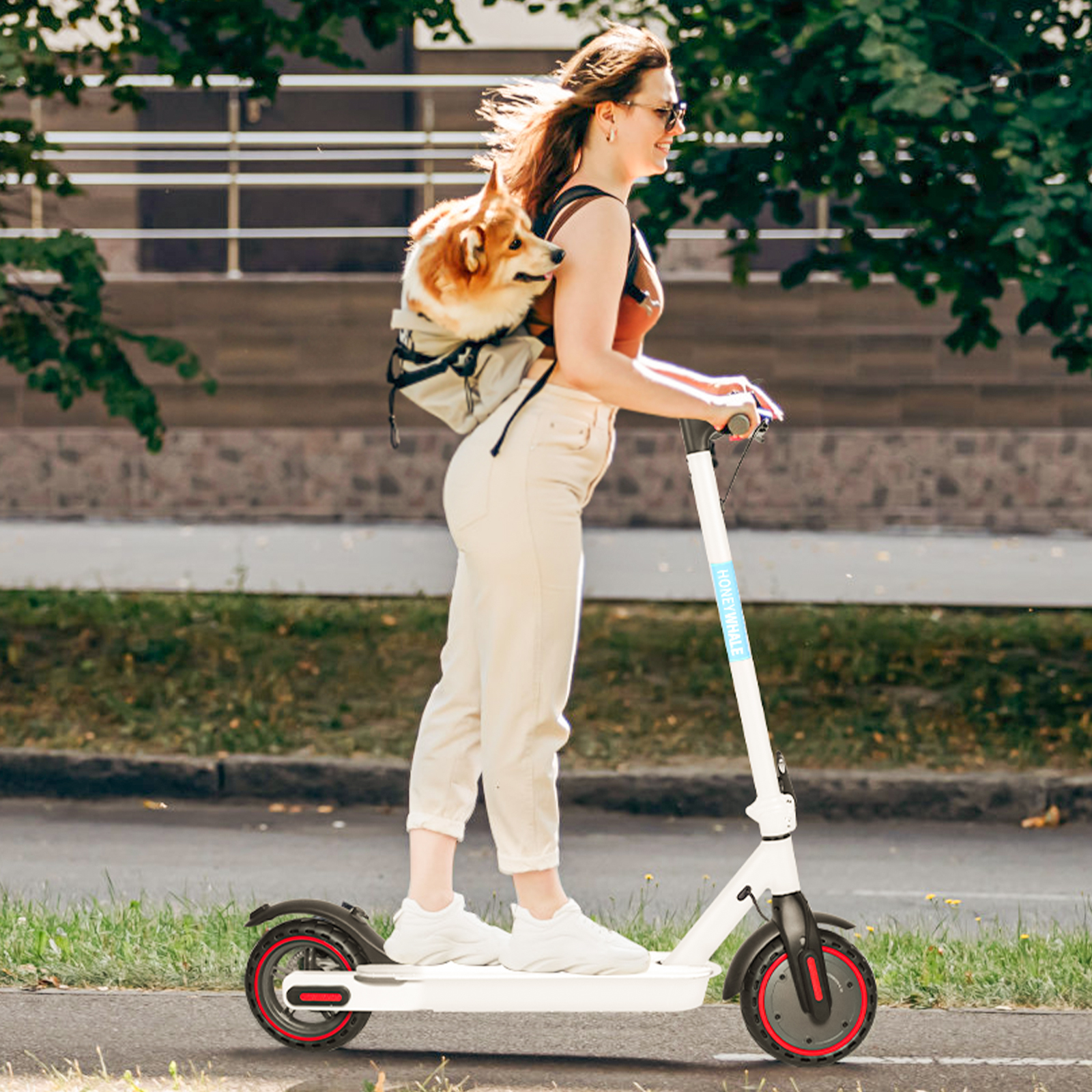 S2 Scooter Eléctrico Plegable Blanco