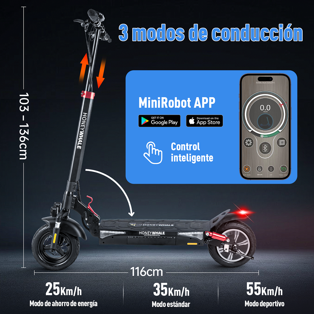 Scooter Eléctrico Honey Whale T4-B Negro