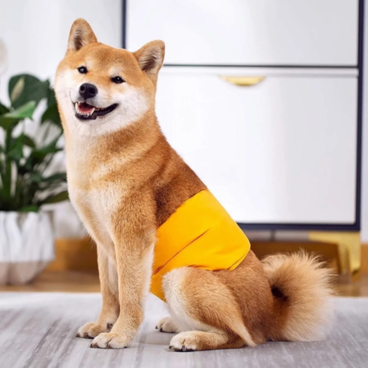 Pañales Reutilizables Lavables Para Perros, Paquete De 3 Uds Talla S