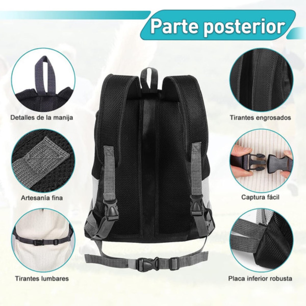 Mochila Cangurera Transportadora Para Gatos Perros Bolsa, M Negro