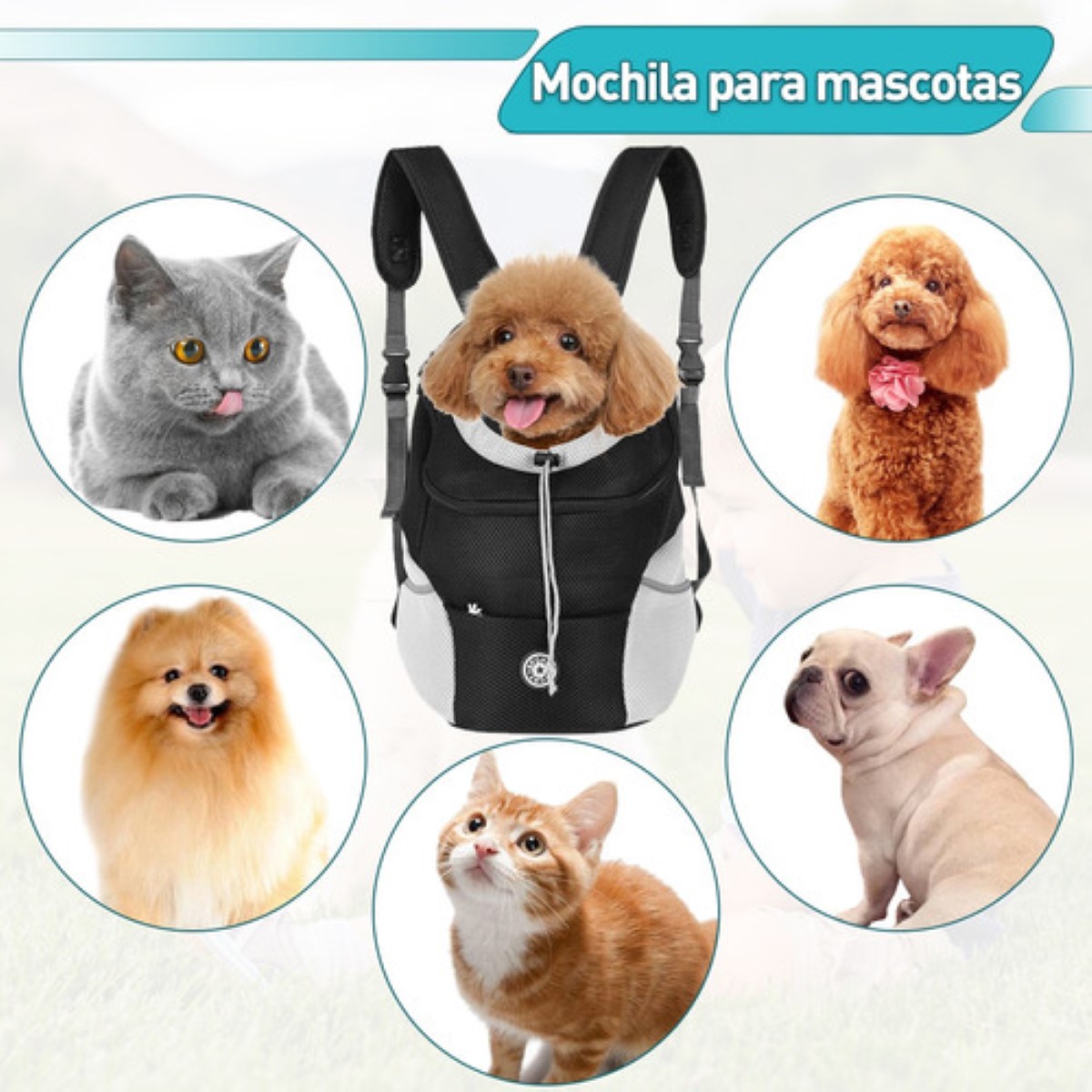 Mochila Cangurera Transportadora Para Gatos Perros Bolsa M Negro