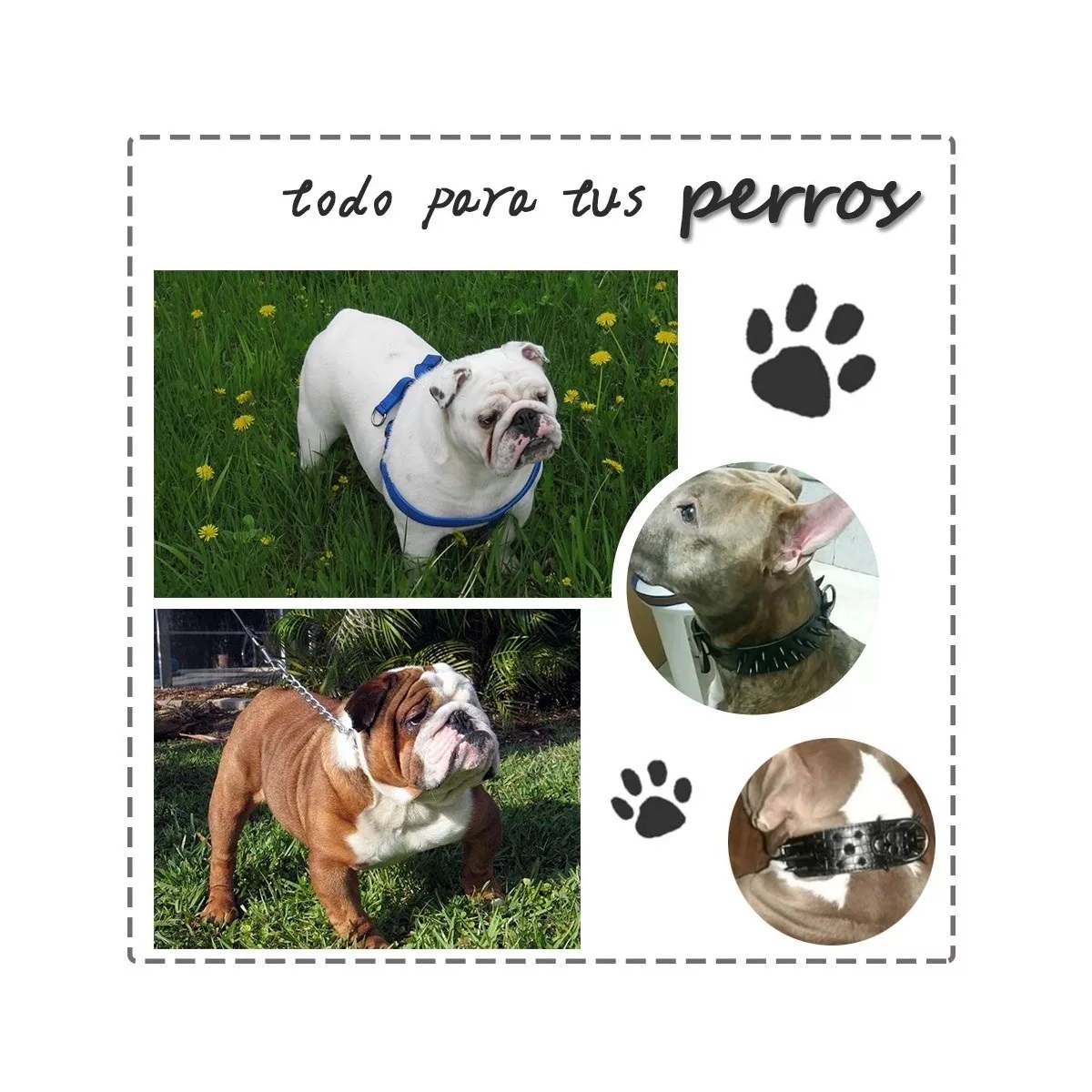 Collar Para Perro Con Picos De Metal Cuero Con Estilo. Negro L