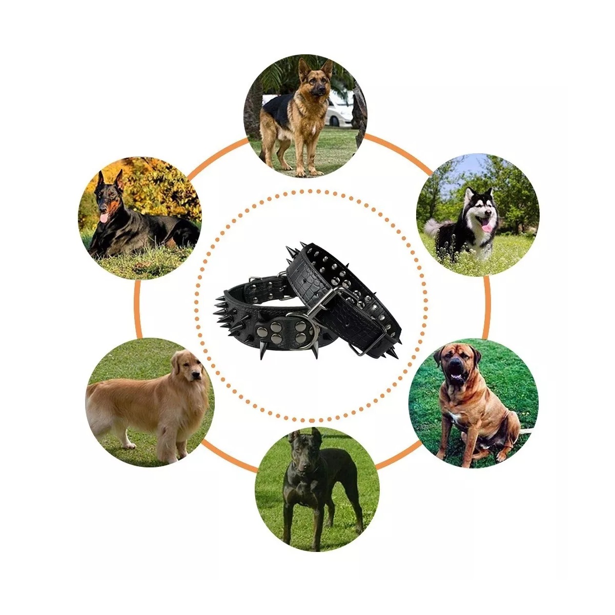 Collar Para Perro Con Picos De Metal Cuero Con Estilo. Negro L