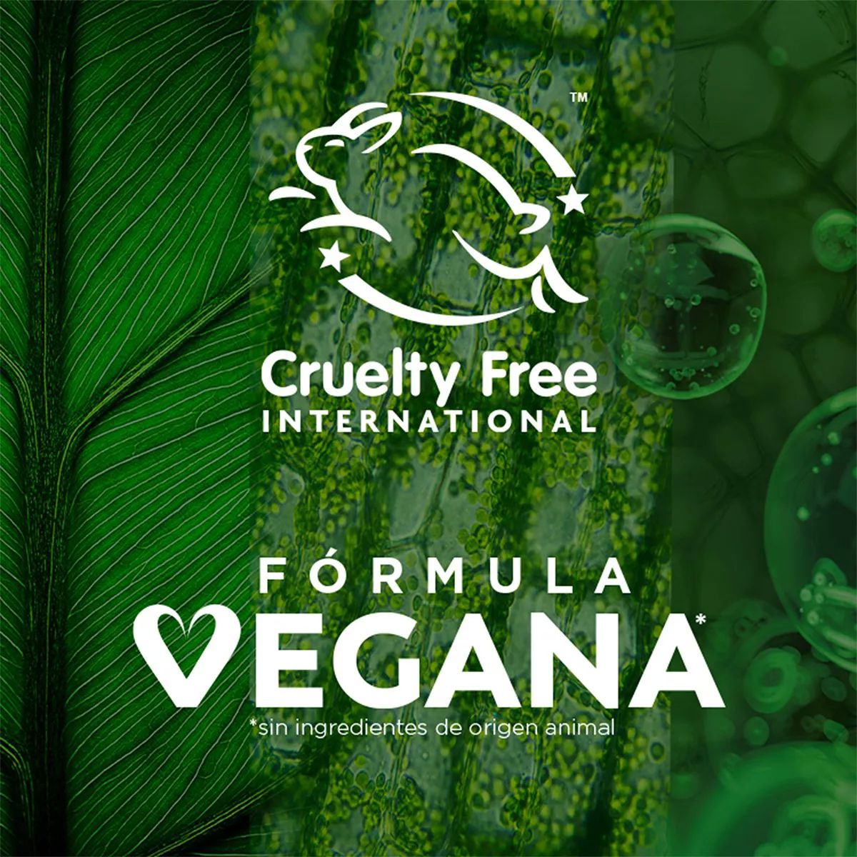 Garnier Express Aclara Serum Vitamina C De Noche Antimanchas Todo tipo de piel