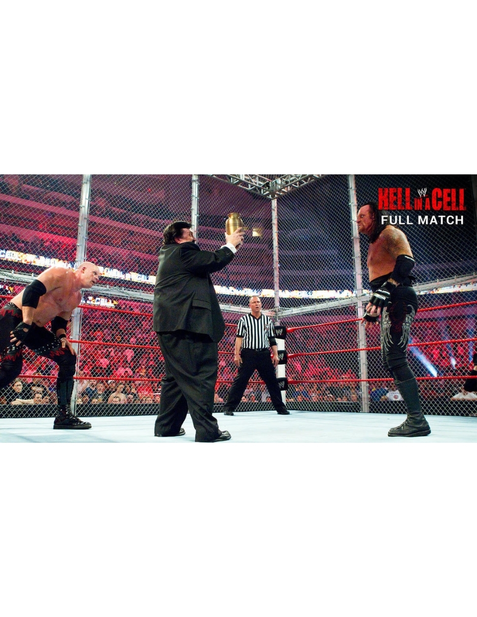 WWE HELL IN A CELL 2010 DVD
