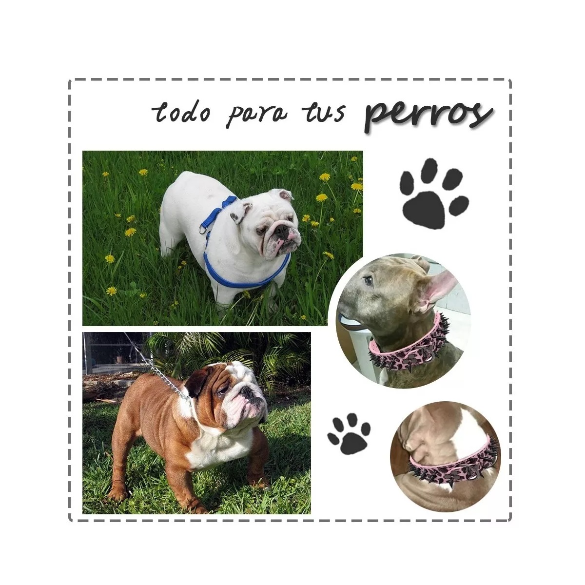 Collar Para Perro Con Picos De Metal Cuero Con Estilo.Rosa M