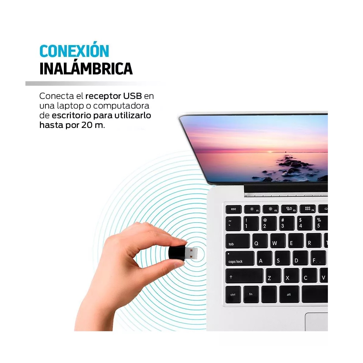 Apuntador Laser Presentador Inalambrico Usb Universal