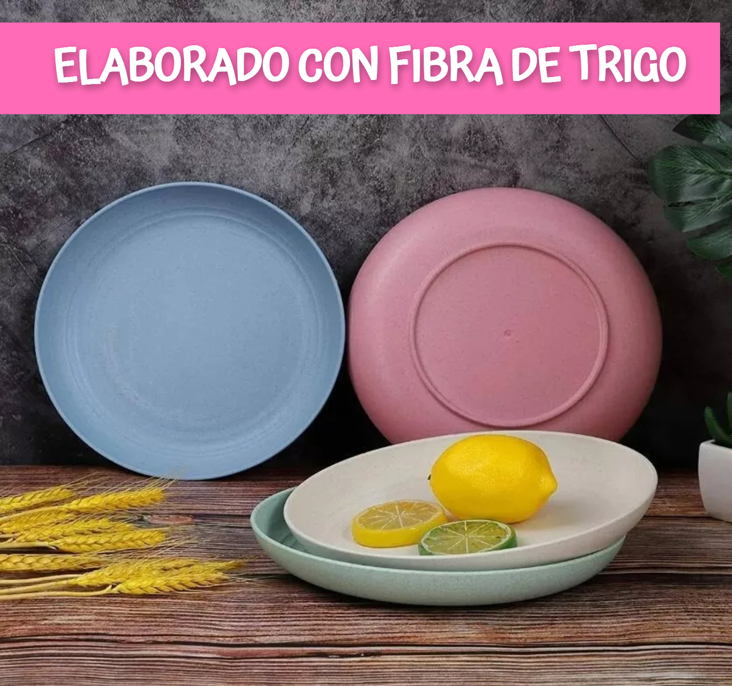 Juego De Vajilla Orgánica Forestdeer, 12 Piezas
