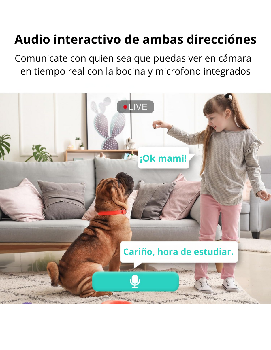 Cámara de Seguridad Inteligente para Interiores Graba en 2K C211 con Alexa y Google.