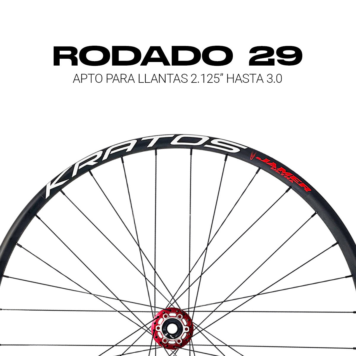 Par Rin Armado Bicicleta R29 Alum 8-12p Freno Disco 32h Maza Roja