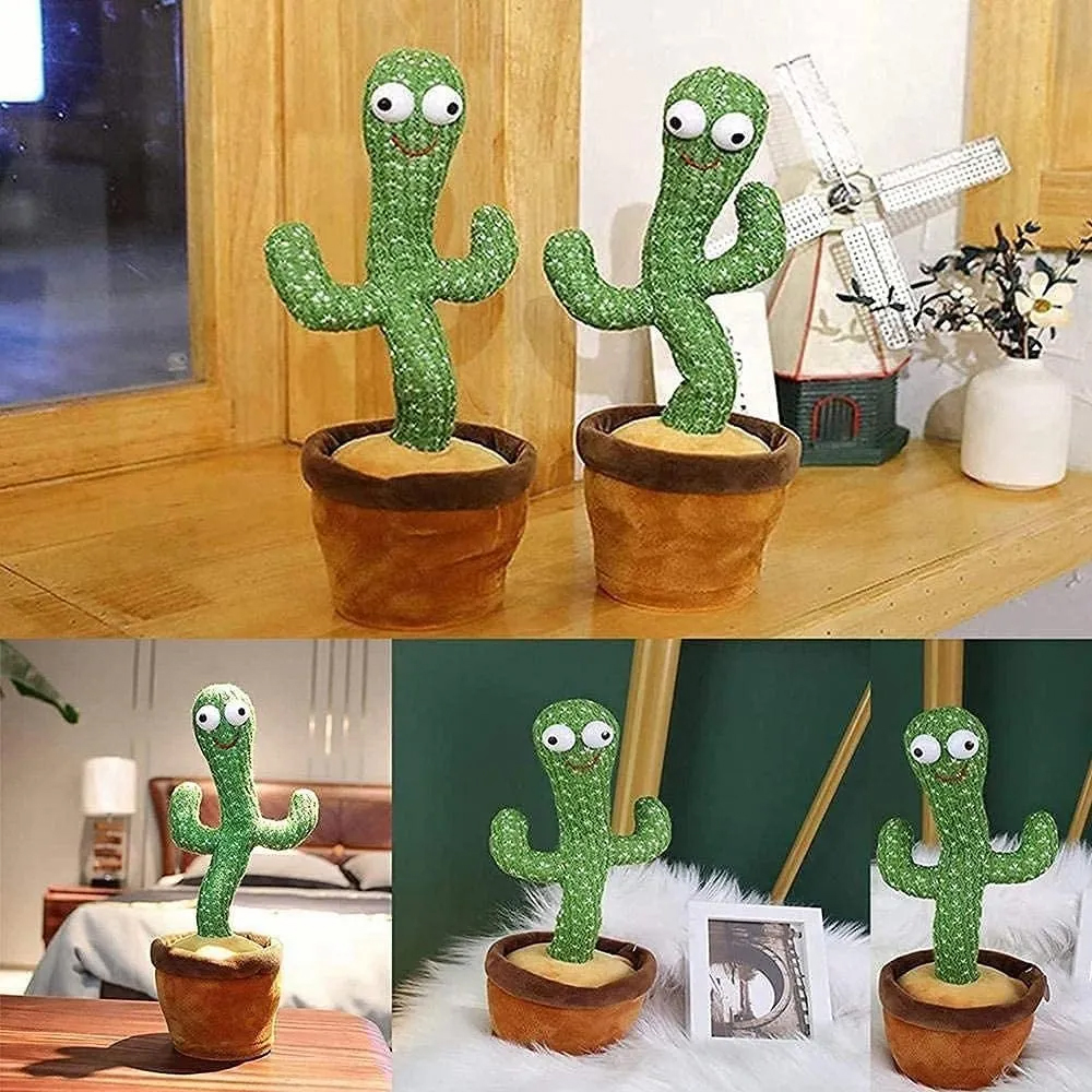Cactus Bailarin – Lucky Trends