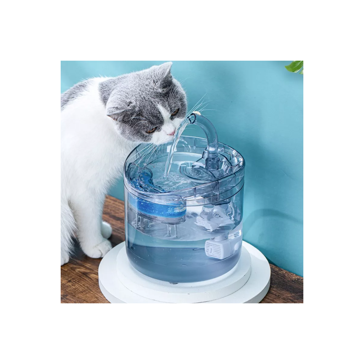 1.8l Fuente Automático Dispensador De Agua Para Perro Y Gato