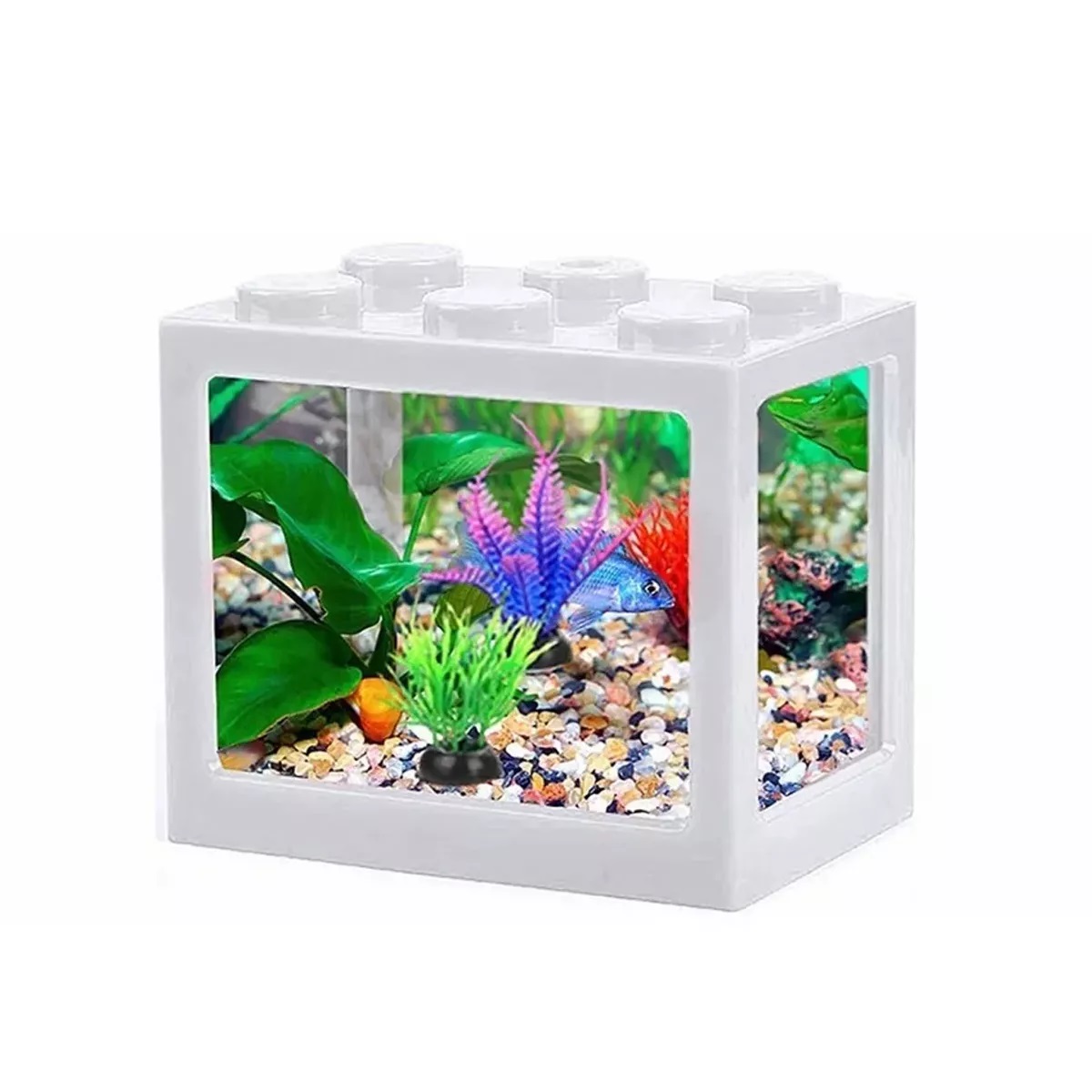 Mini Pecera Para Pez Beta Kit Completo Acuario Con Luz Blanco