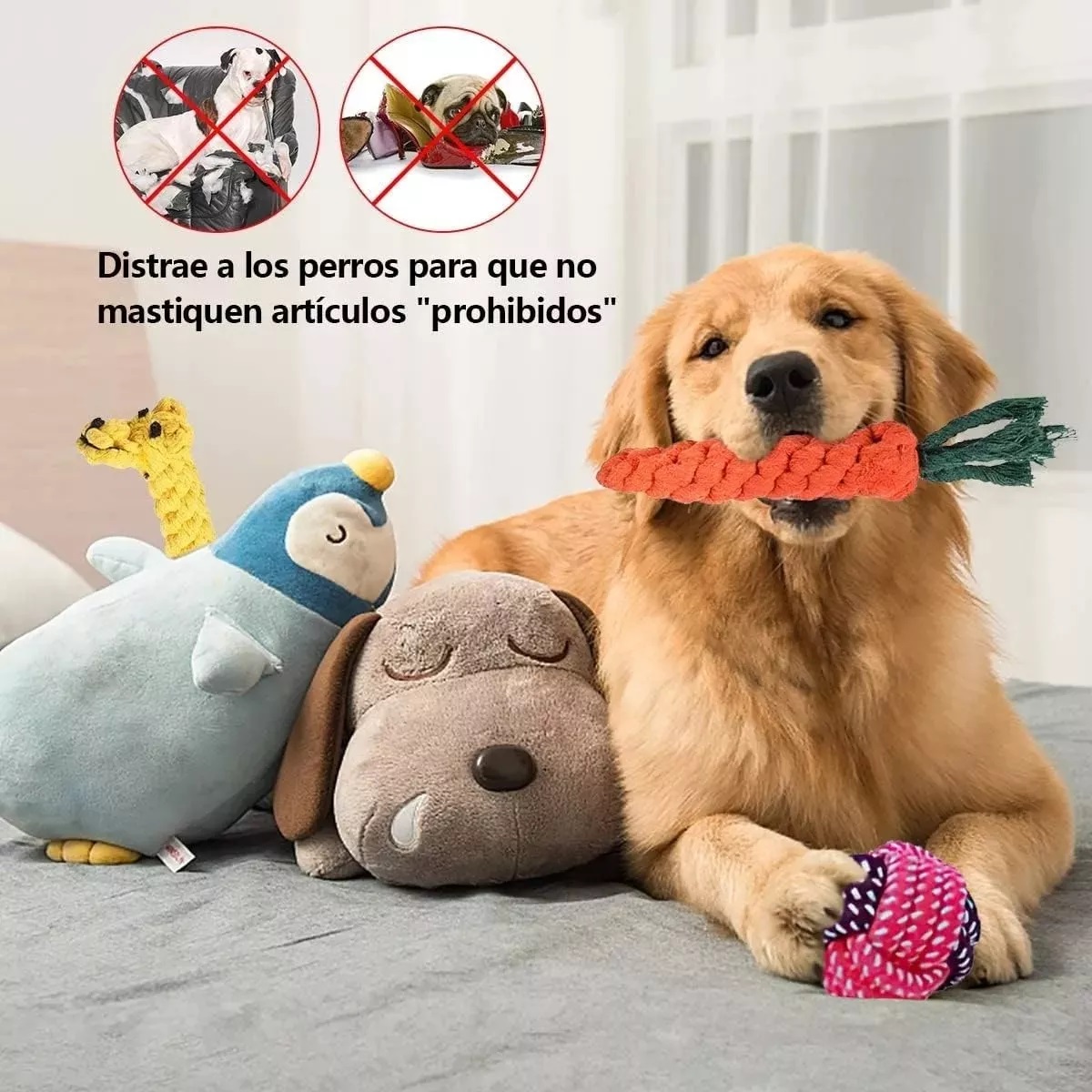 Juguetes De Cuerda Para Perro Morder Paquete De 20pzs