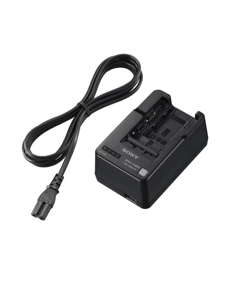 Cargador De Batería SONY BC-QM1