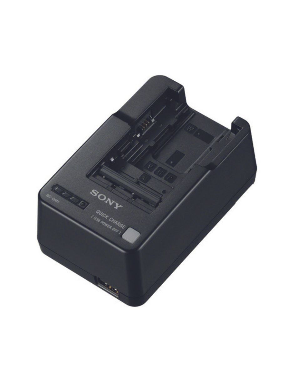 Cargador De Batería SONY BC-QM1