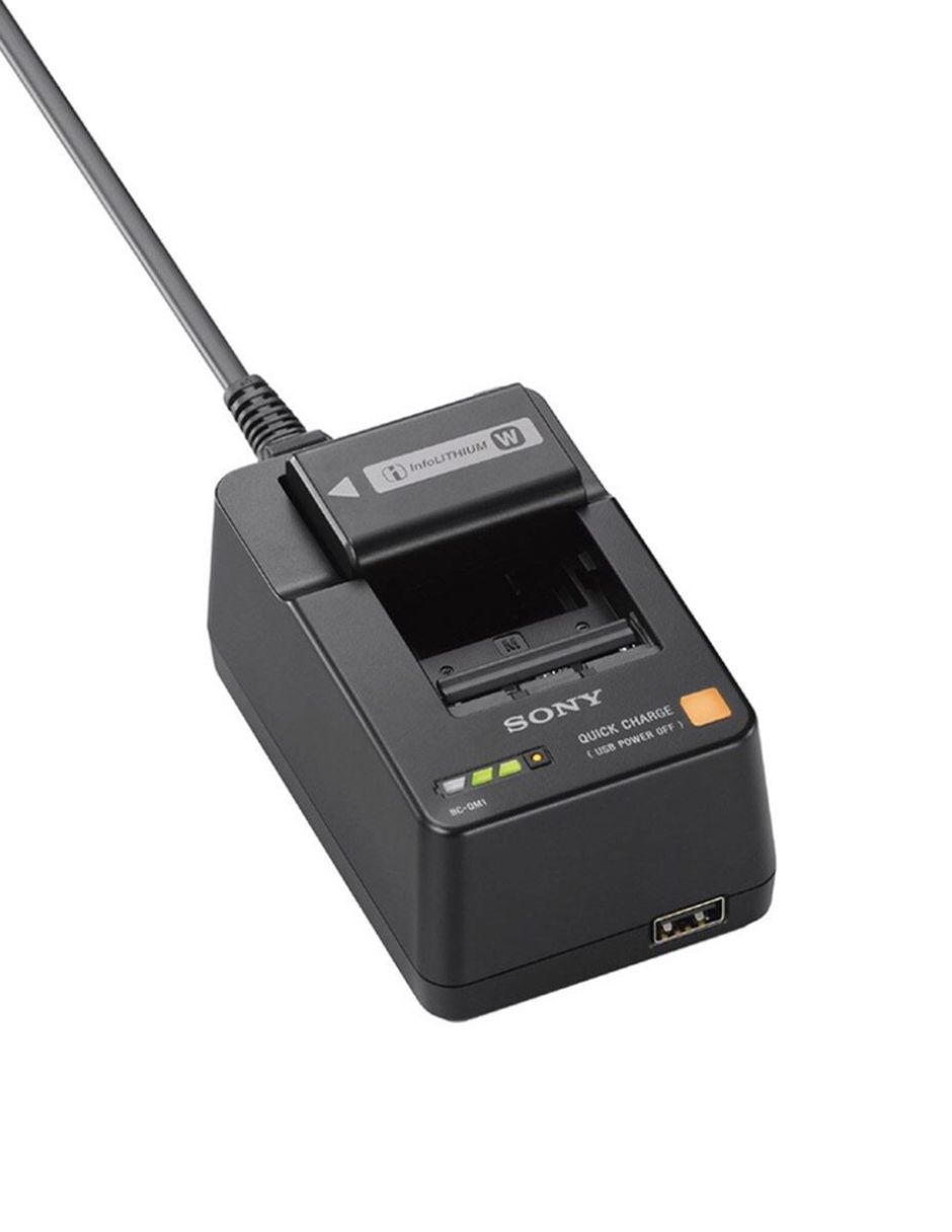 Cargador De Batería SONY BC-QM1