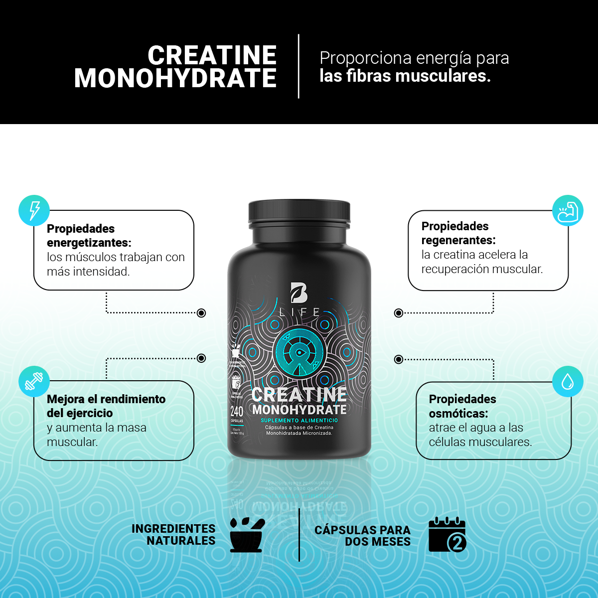 Creatina Monohidratada 240 Caps. Creatine Monohydrate B Life