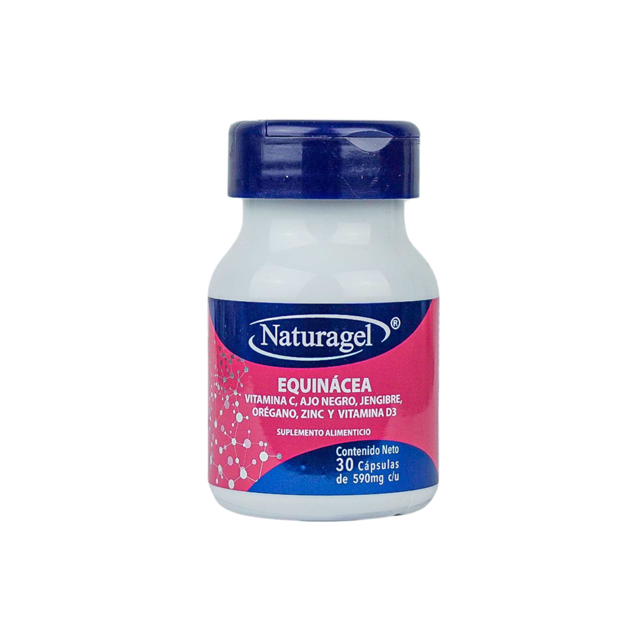 Naturagel | Equinácea con Vitamina C, Ajo Negro, Jengibre, Orégano, Zinc y Vitamina D | Refuerzo Inmunológico