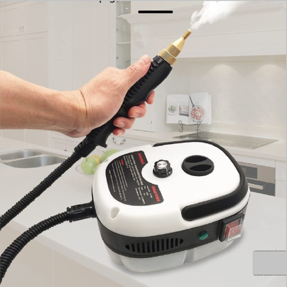 Limpiador De Vapor Presurizado De Alta Temperatura 2500w Blanco/Negro