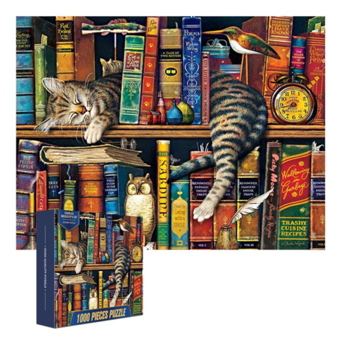 Rompecabezas De 70 x 50 cm De Gato Y Libros, 1000 Piezas