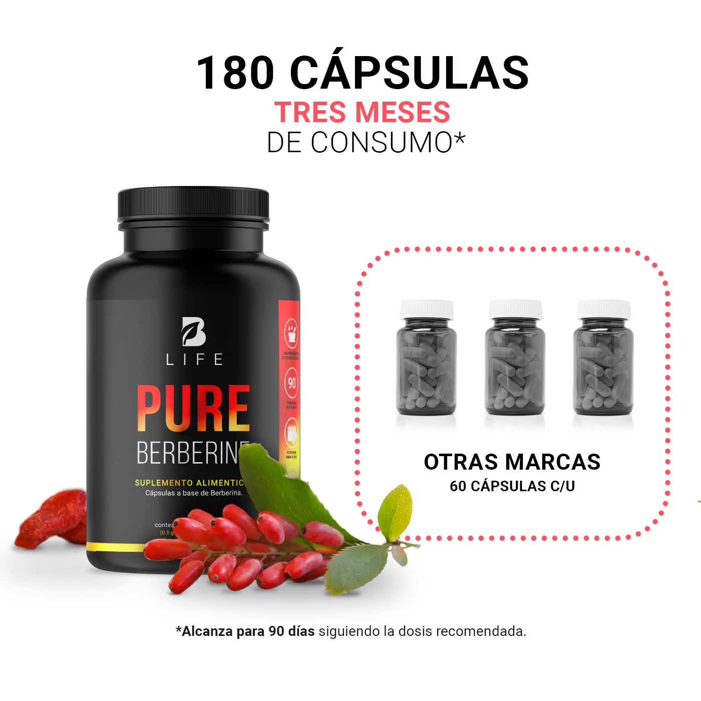 Berberina De 180 Cápsulas De 500mg. Pure Berberine. B Life