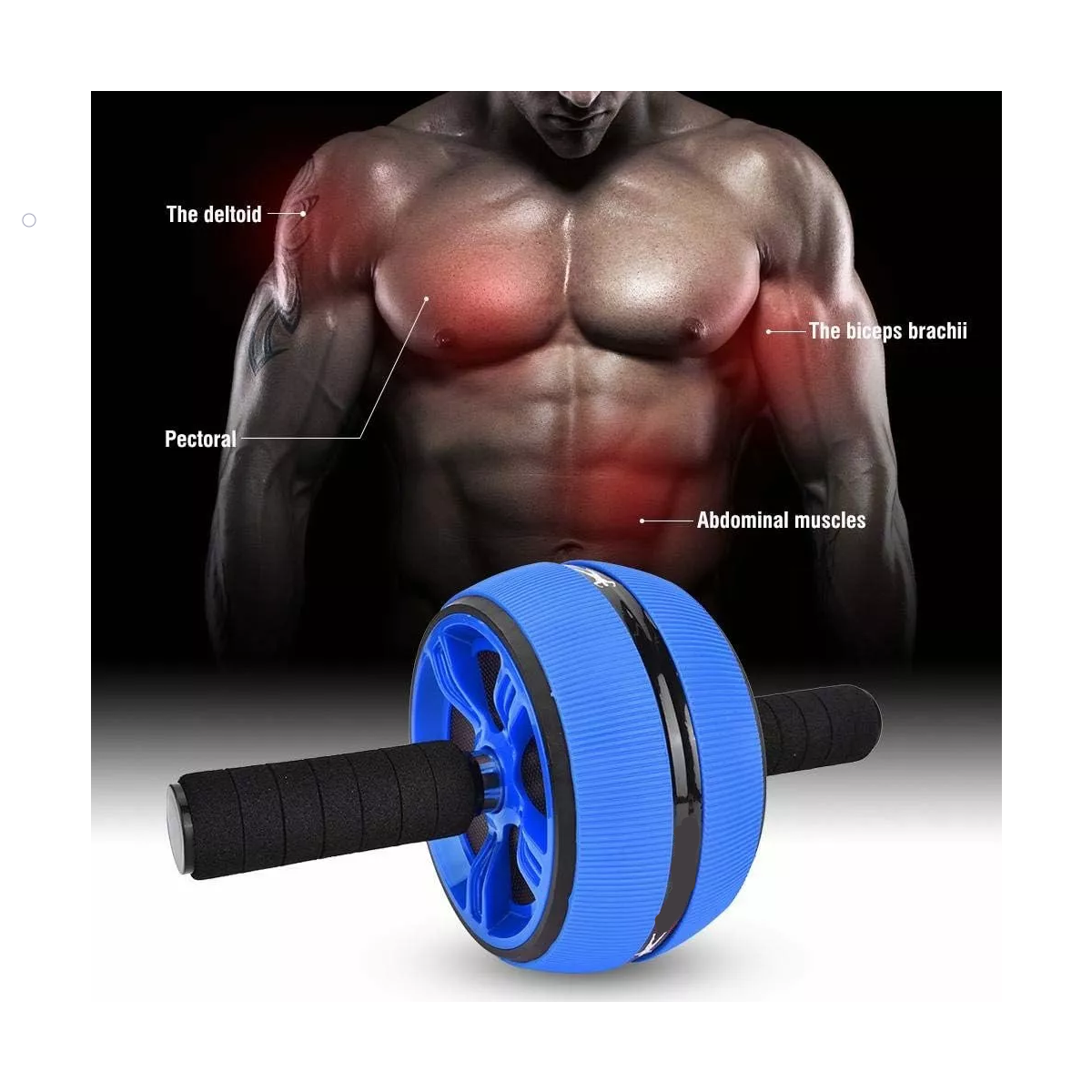 Rueda Abdominal Rueda De Ejercicio Abdominal Con Asa Azul