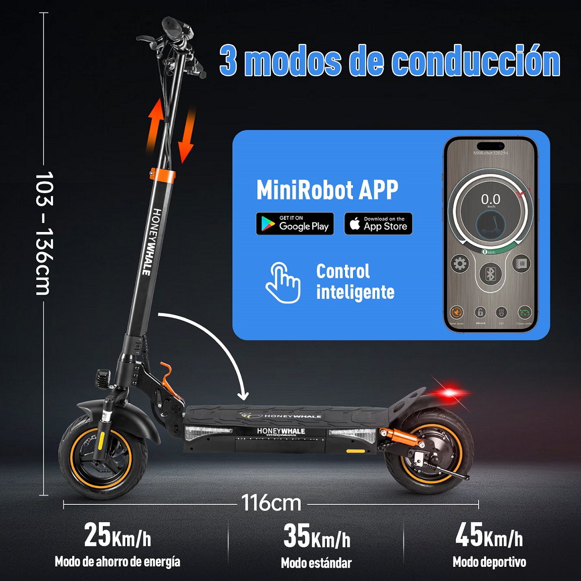Scooter Eléctrico Honey Whale T4-A Negro