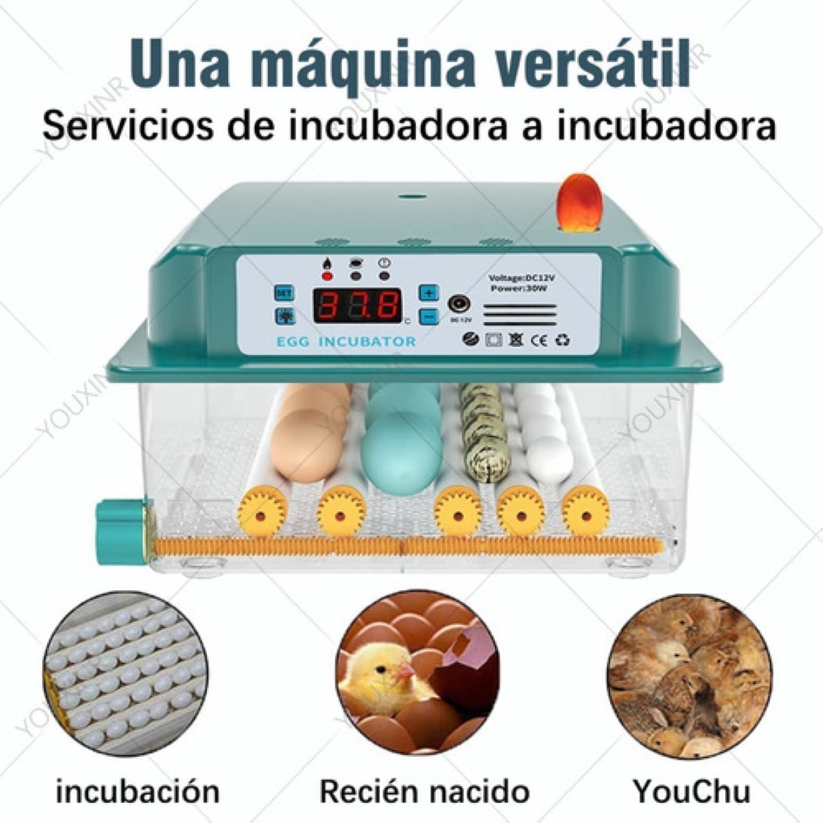 Incubadora Huevos Rollo Automática 16 Huevos Pollos Y Aves Verde