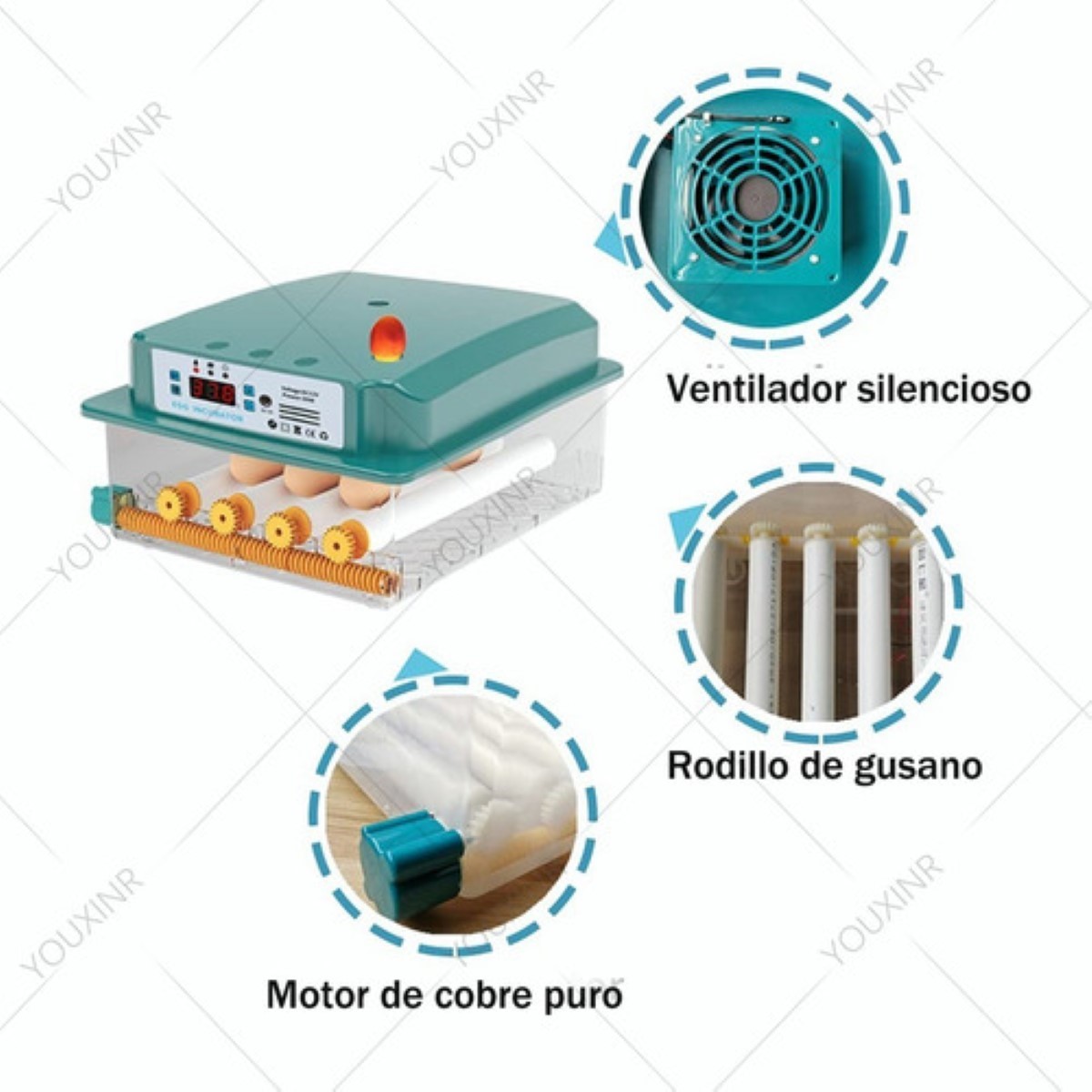 Incubadora Huevos Rollo Automática 16 Huevos Pollos Y Aves Verde