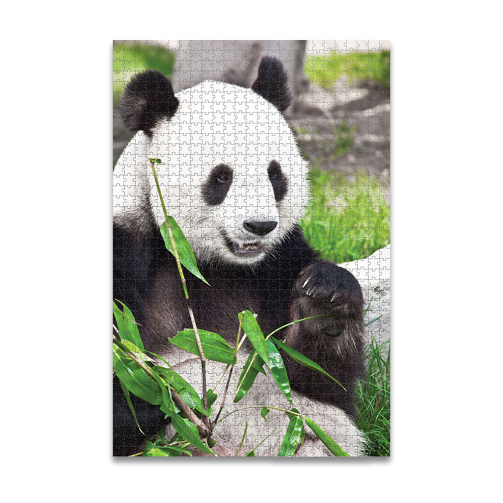 ROMPECABEZAS 1000PZAS CH OSO PANDA KELVIN