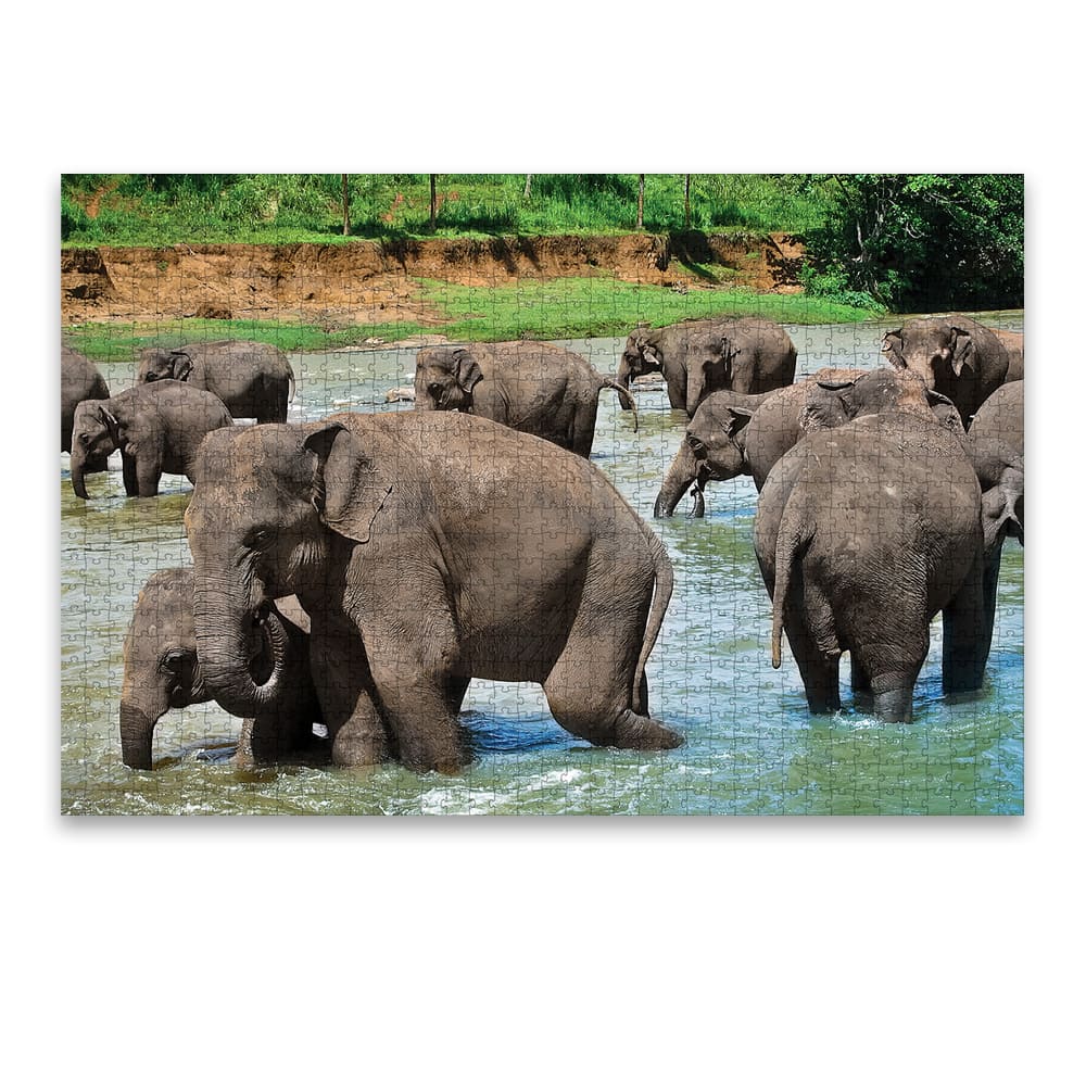 ROMPECABEZAS 1000PZAS CH ELEFANTES KELVIN