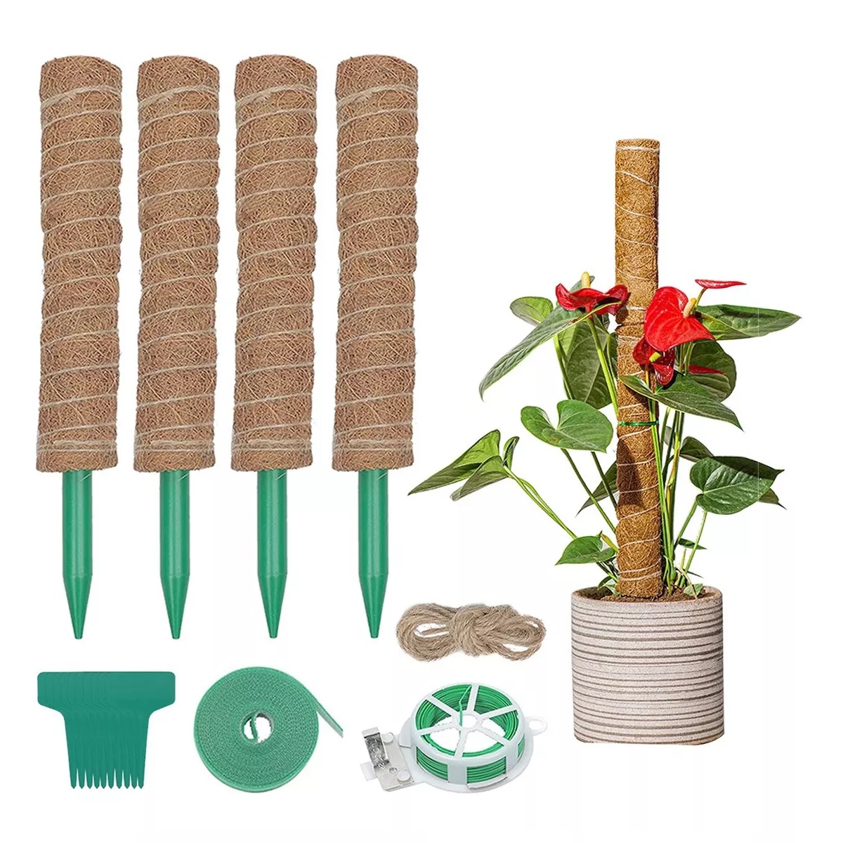 Set 42cm Suporte Tutor De Musgo Para Plantas 4 Pzs+accesorios