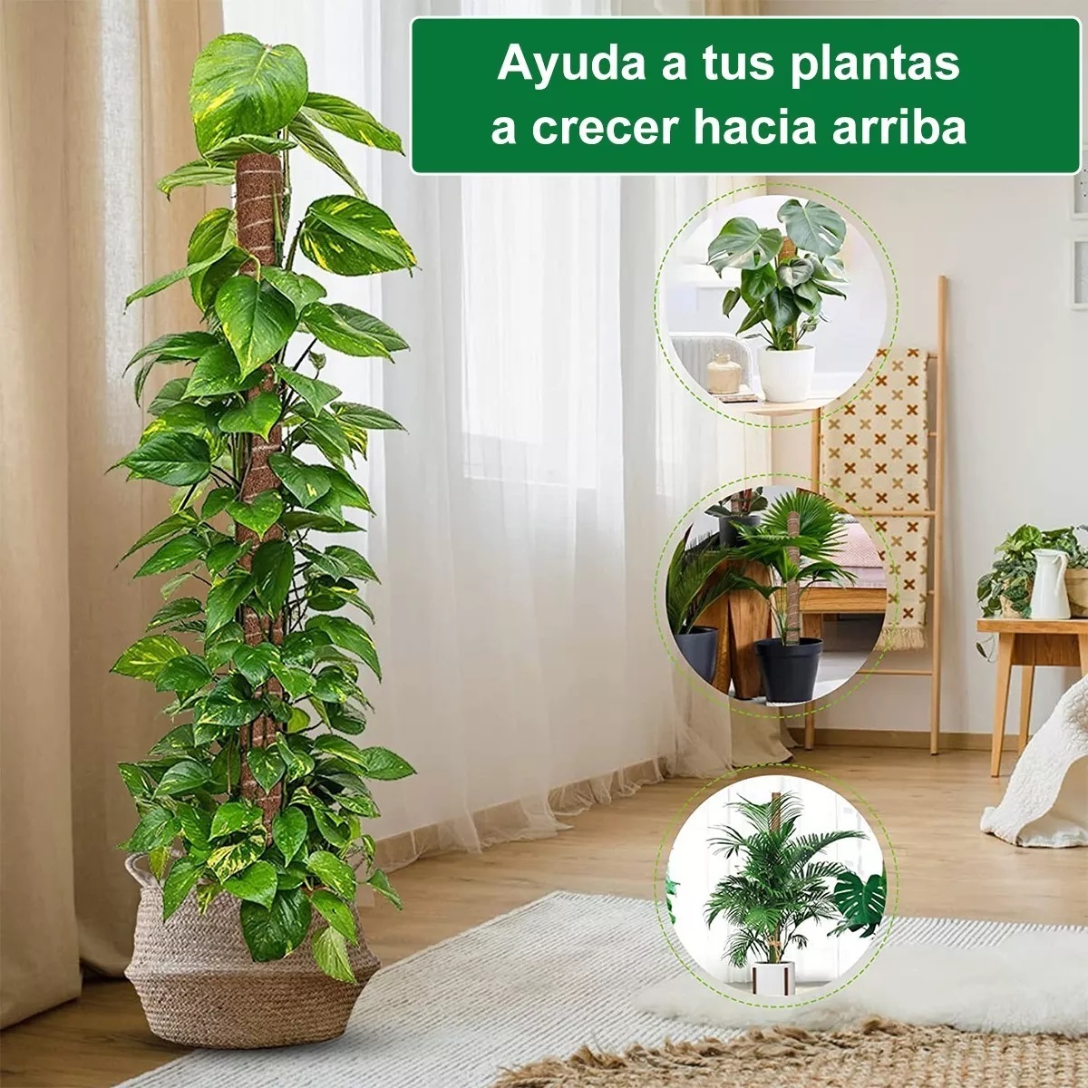 Set 42cm Suporte Tutor De Musgo Para Plantas 4 Pzs+accesorios