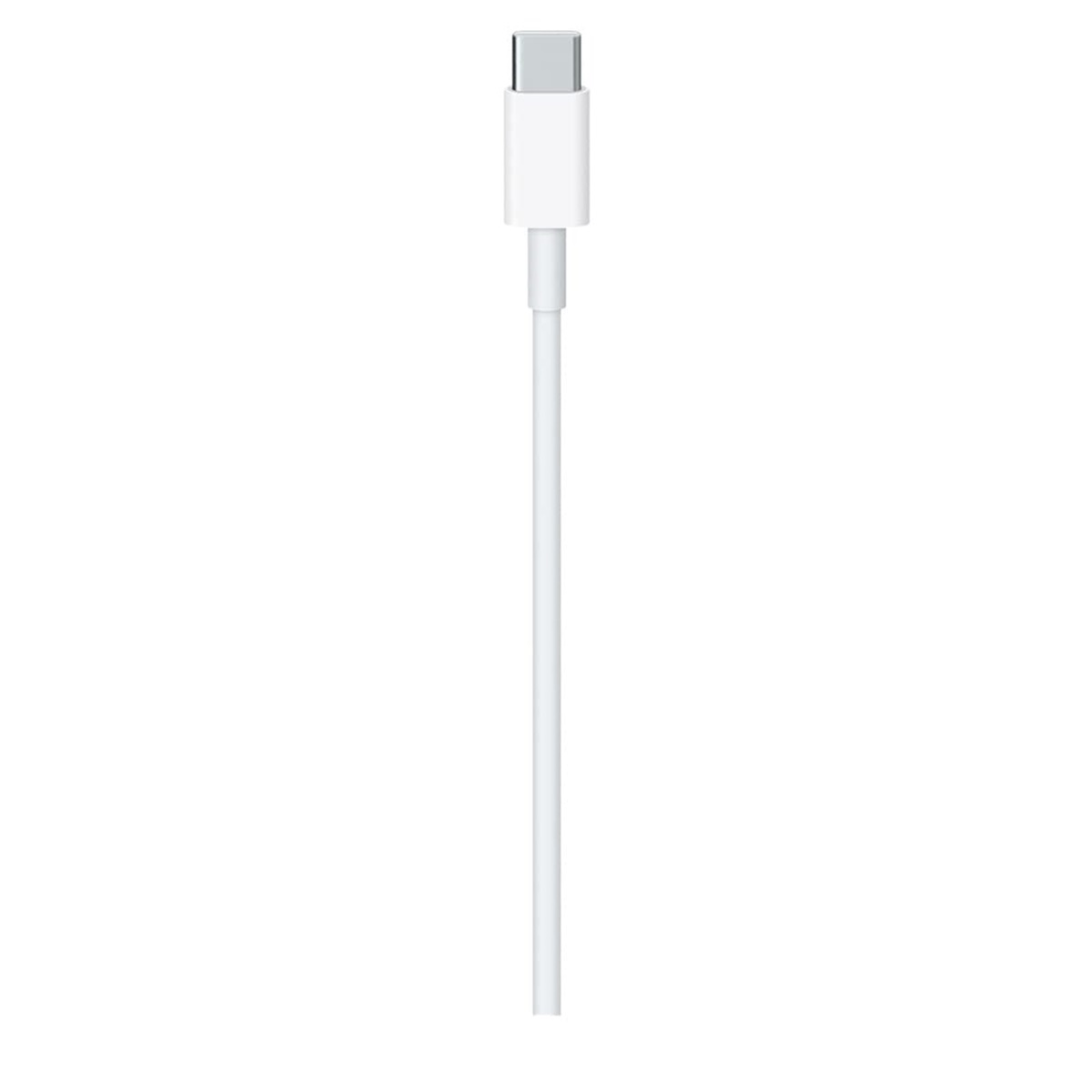 Cable de Carga Apple USB-C Macho - USB-C Macho 2 Metros para MacBook