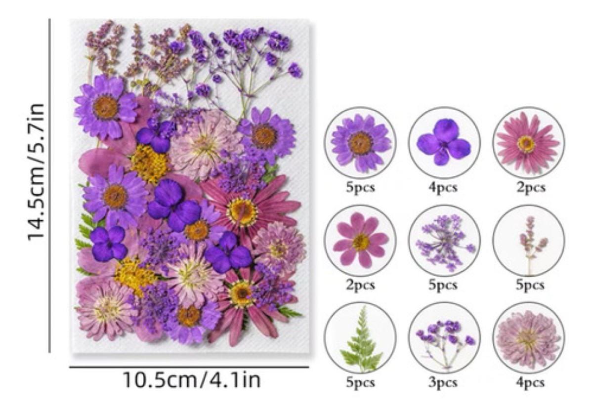 Paquete Flores Secas Naturales Prensadas Para Manualidades Modelo 1