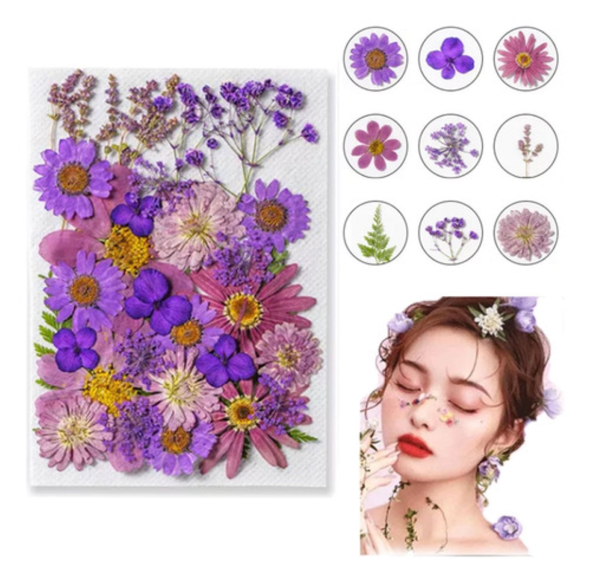 Paquete Flores Secas Naturales Prensadas Para Manualidades Modelo 1
