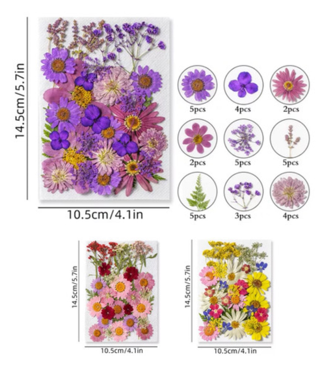 Paquete Flores Secas Naturales Prensadas Para Manualidades Modelo 1
