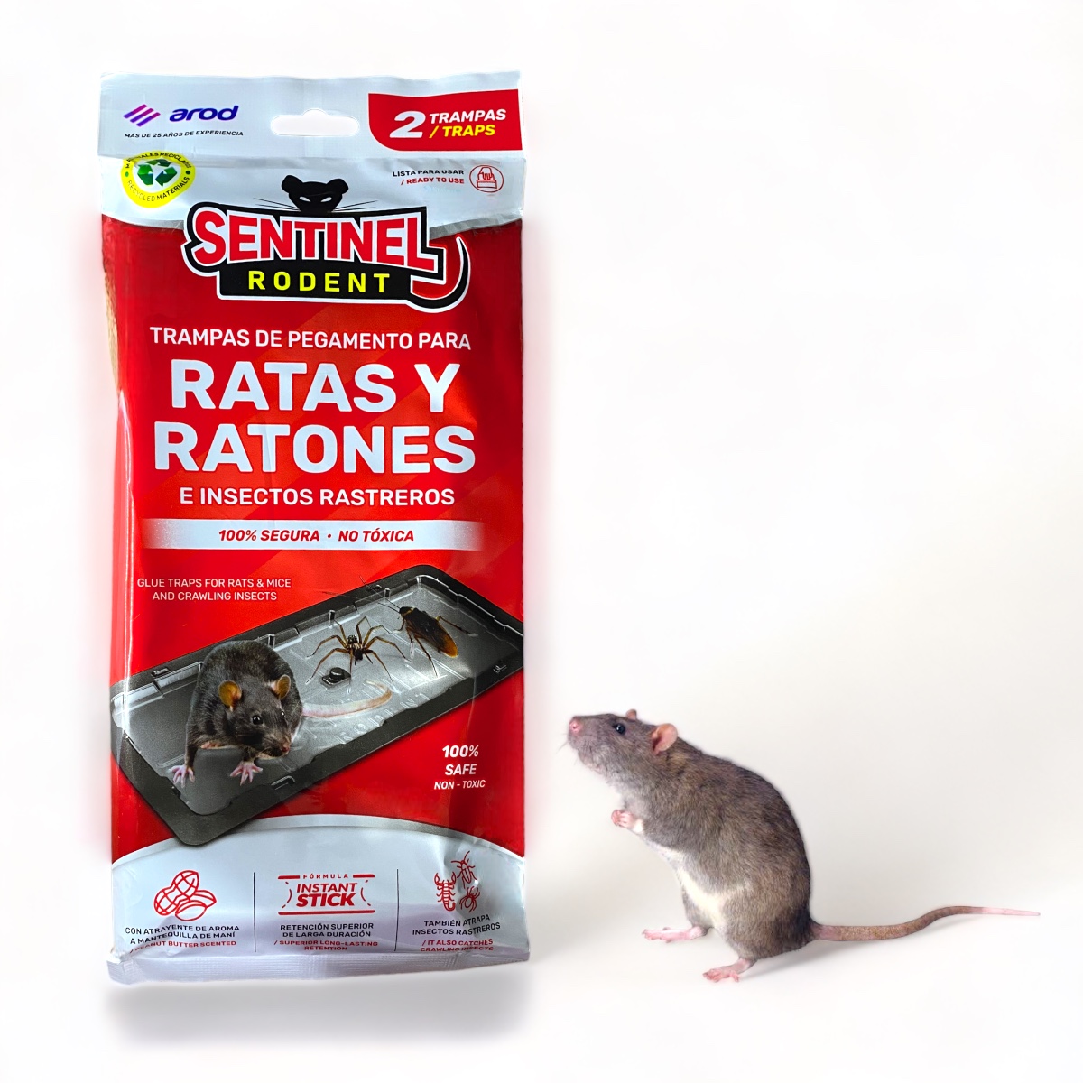 Trampa Sentinel Para Rata 