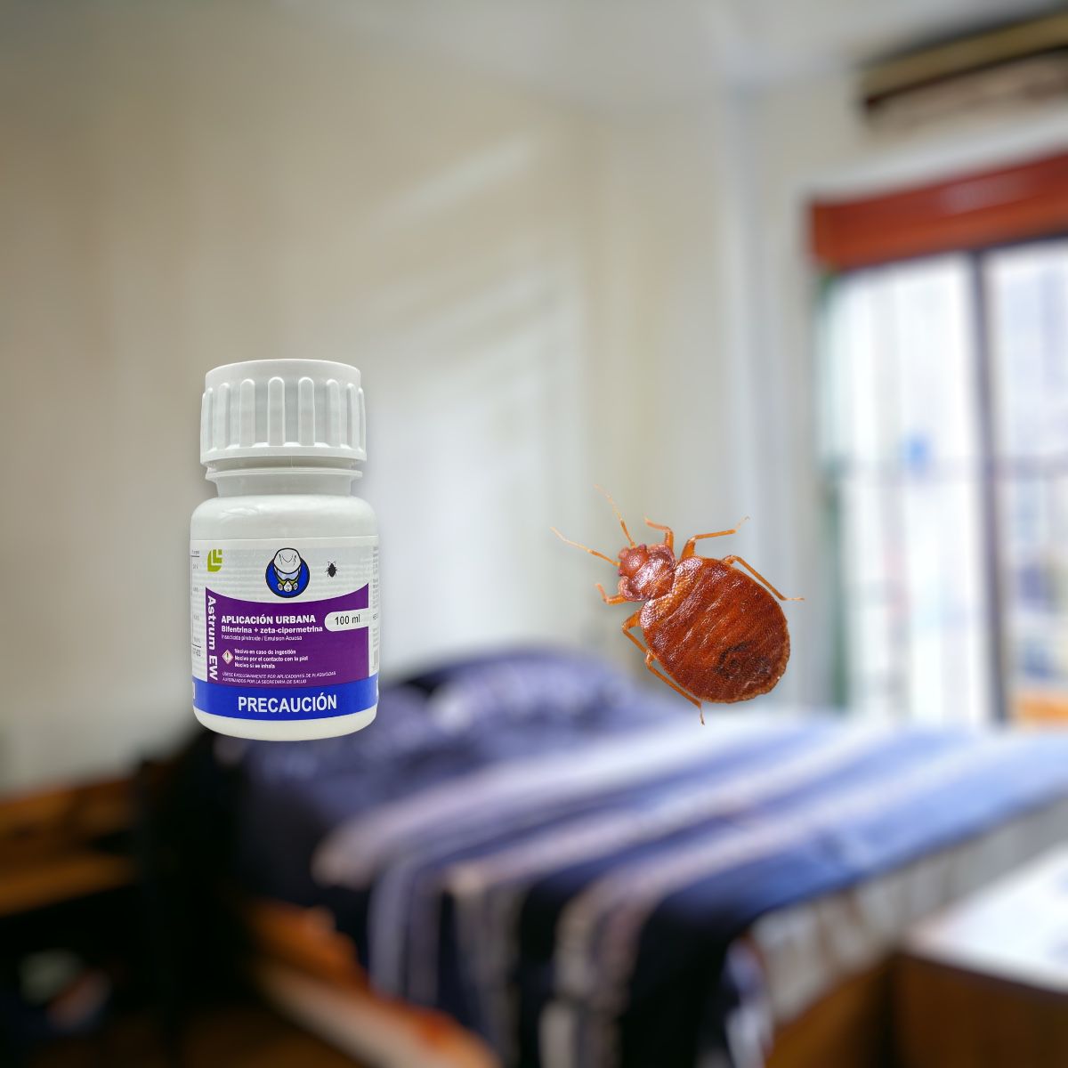 Mata Chinches Astrum Ew 100ml Bifentrina + Zeta Cipermetrina