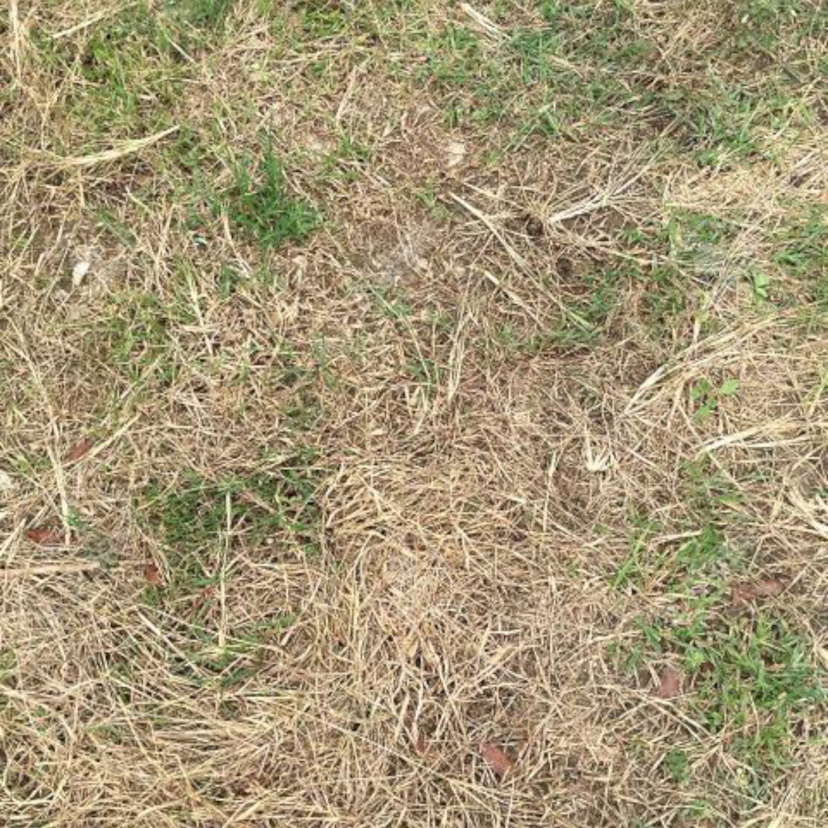 FAENA FUERTE 1 LT HERBICIDA 