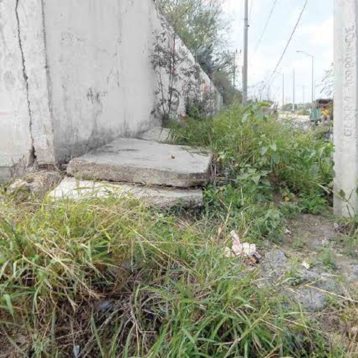 FAENA FUERTE 1 LT HERBICIDA 