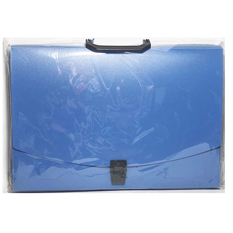Portafolio de plástico tamaño oficio.